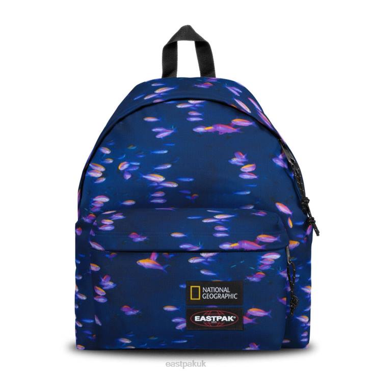 Eastpak glow blue 27l hotsell