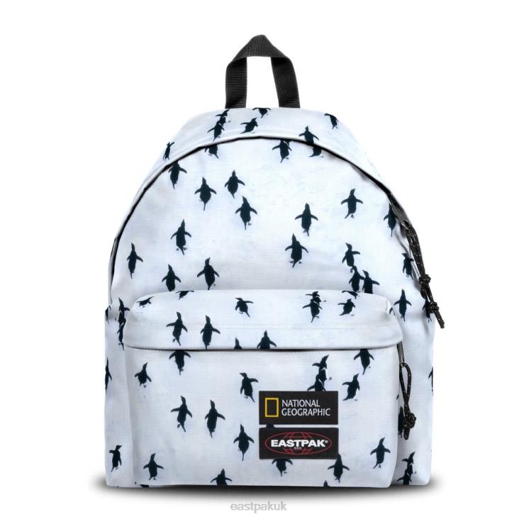 Eastpak Padded Pak'r Ng PeNg uin LTZJ7 Backpacks